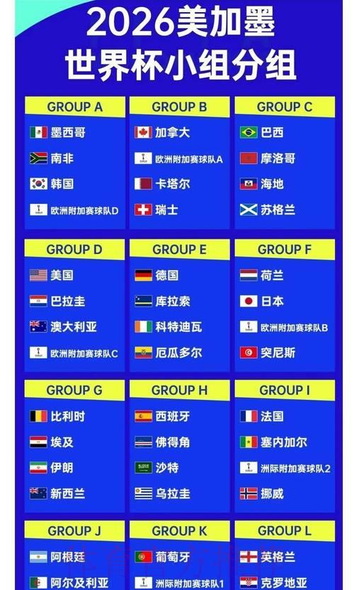 2026年世界杯夺冠热门队伍赔率深度解析