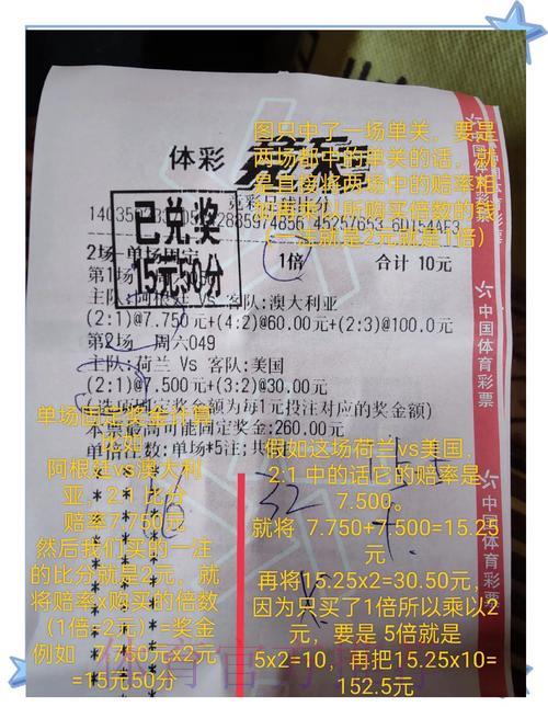 世界杯竞猜获胜经典案例全面剖析